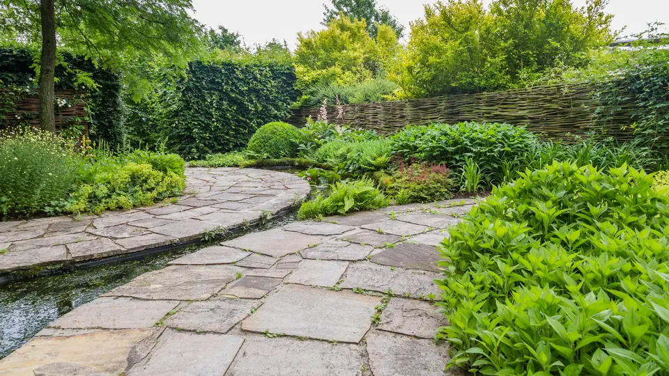 Озеленение территории