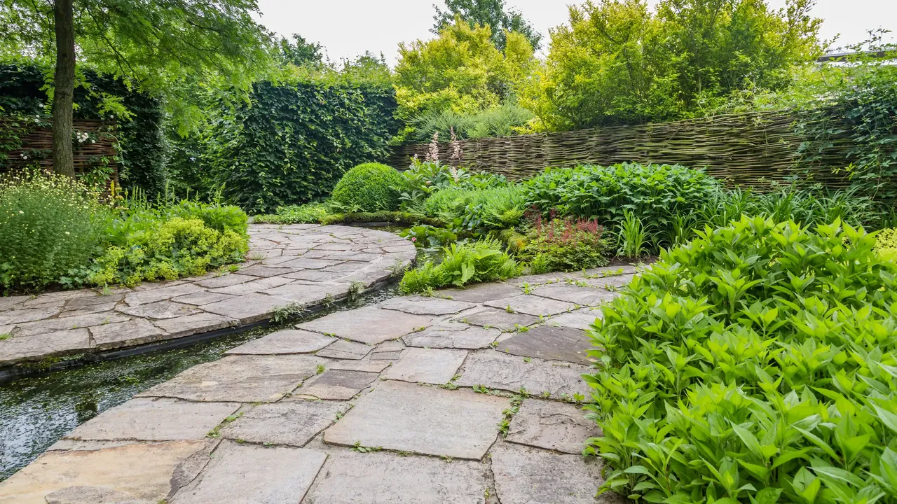 Озеленение территории