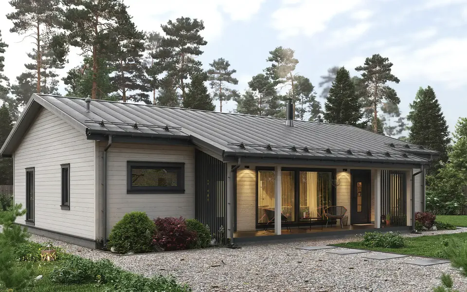 Финляндия 110