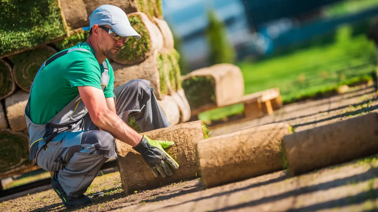 Благоустройство участка